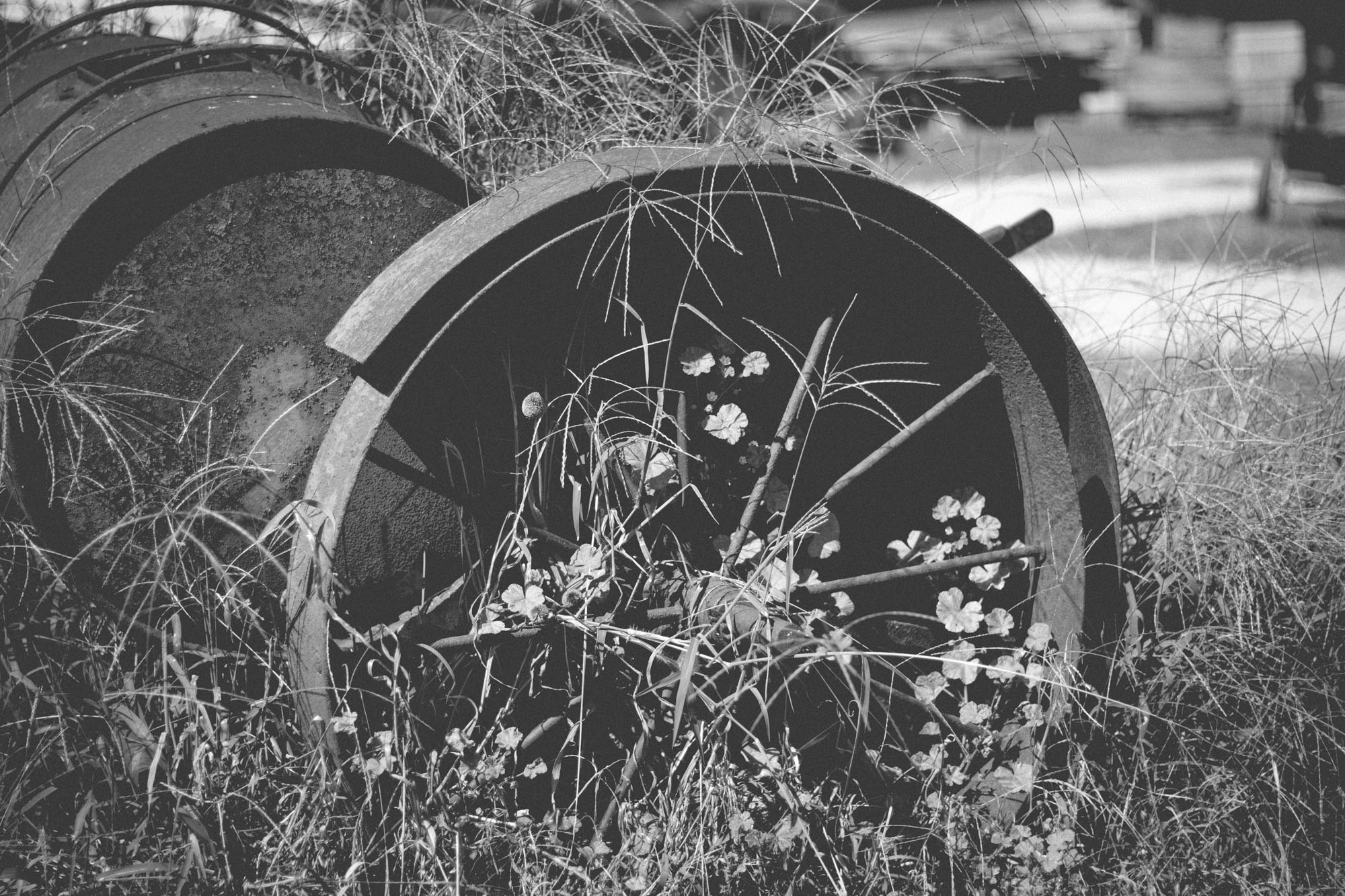Trajectory Photography (5 of 13)